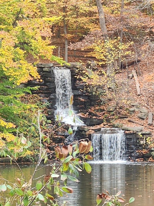 Winkler Botanical Preserve