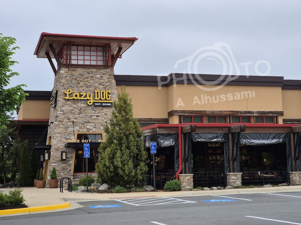 Lazy Dog Restaurant & Bar
